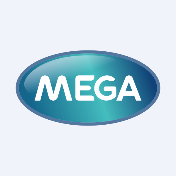 Mega Equity Securities And Financial Services Public Ltd
