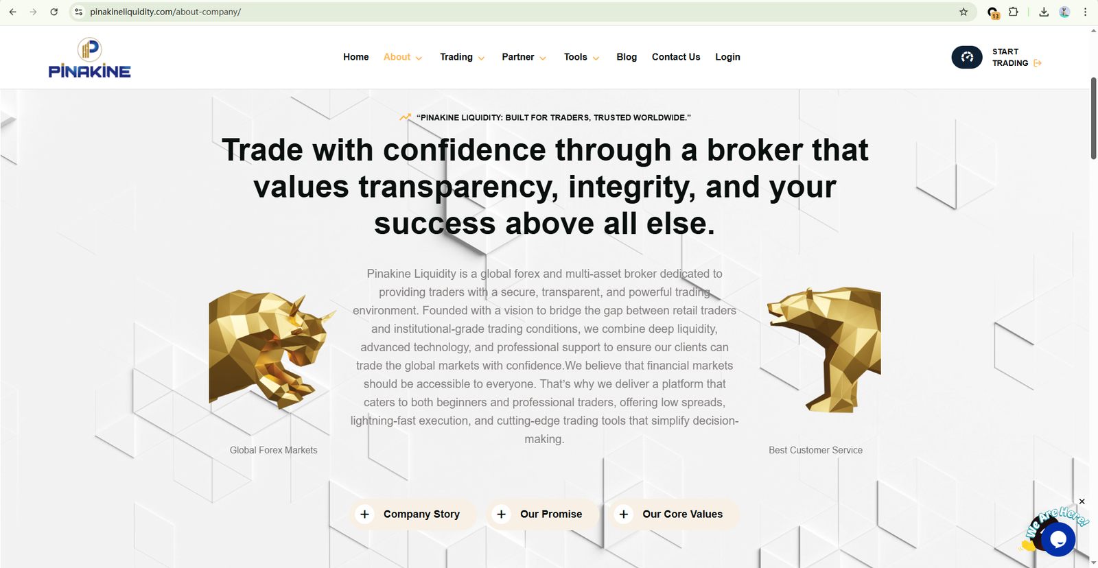 Pinakine Liquidity Platform Feature 3