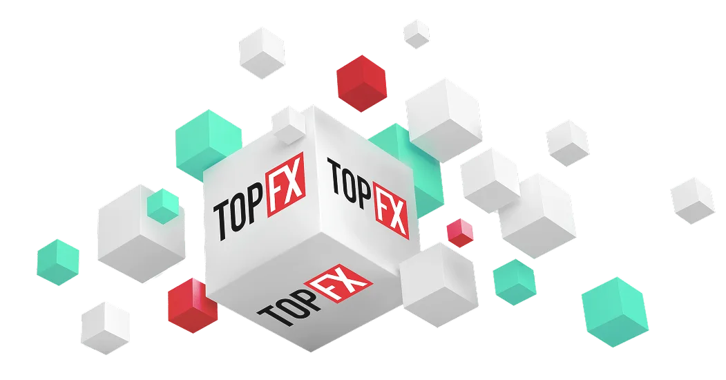 TopFX Platform Feature 2